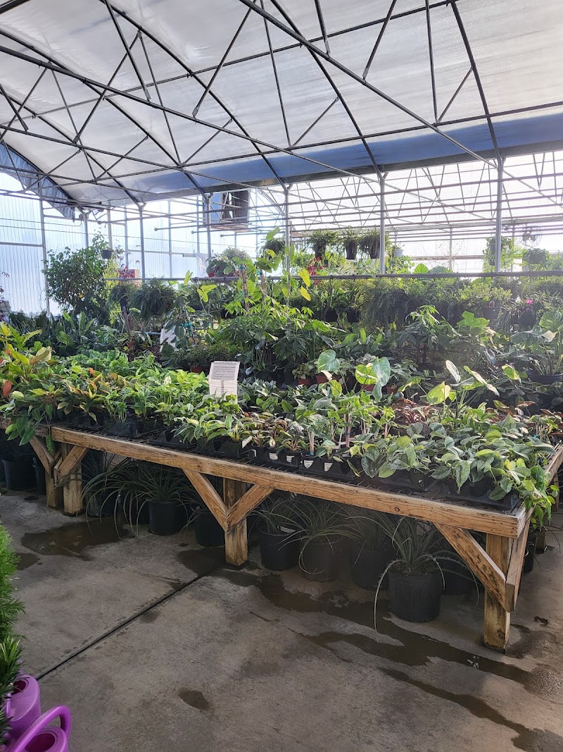 Suburban Plants cover image