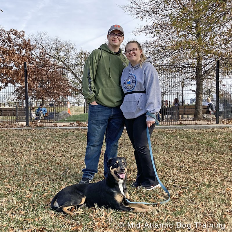 Mid-Atlantic Dog Training cover