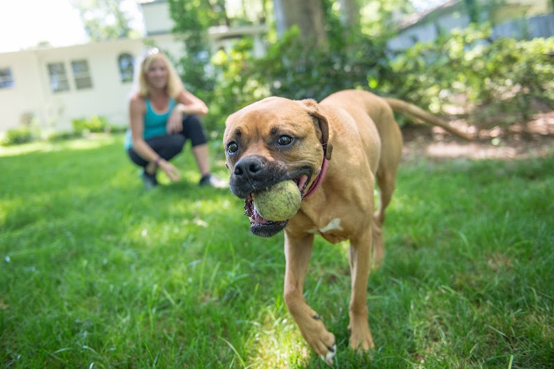 Amanda’s Best Friend cover image