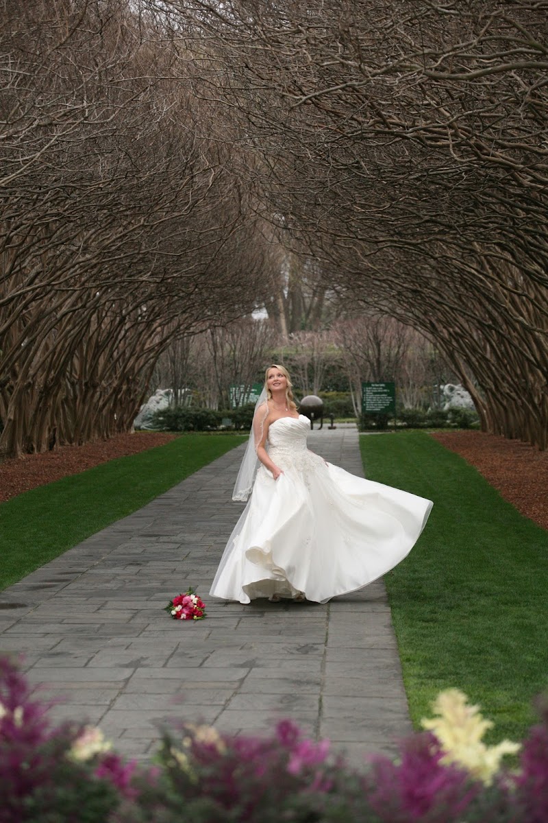 Southern Flair Photography cover image