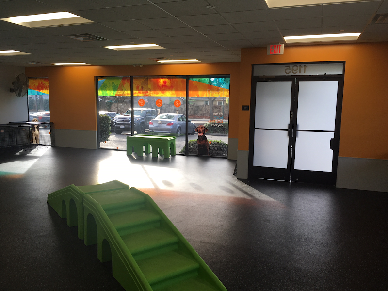 Dogtopia of San Jose cover image