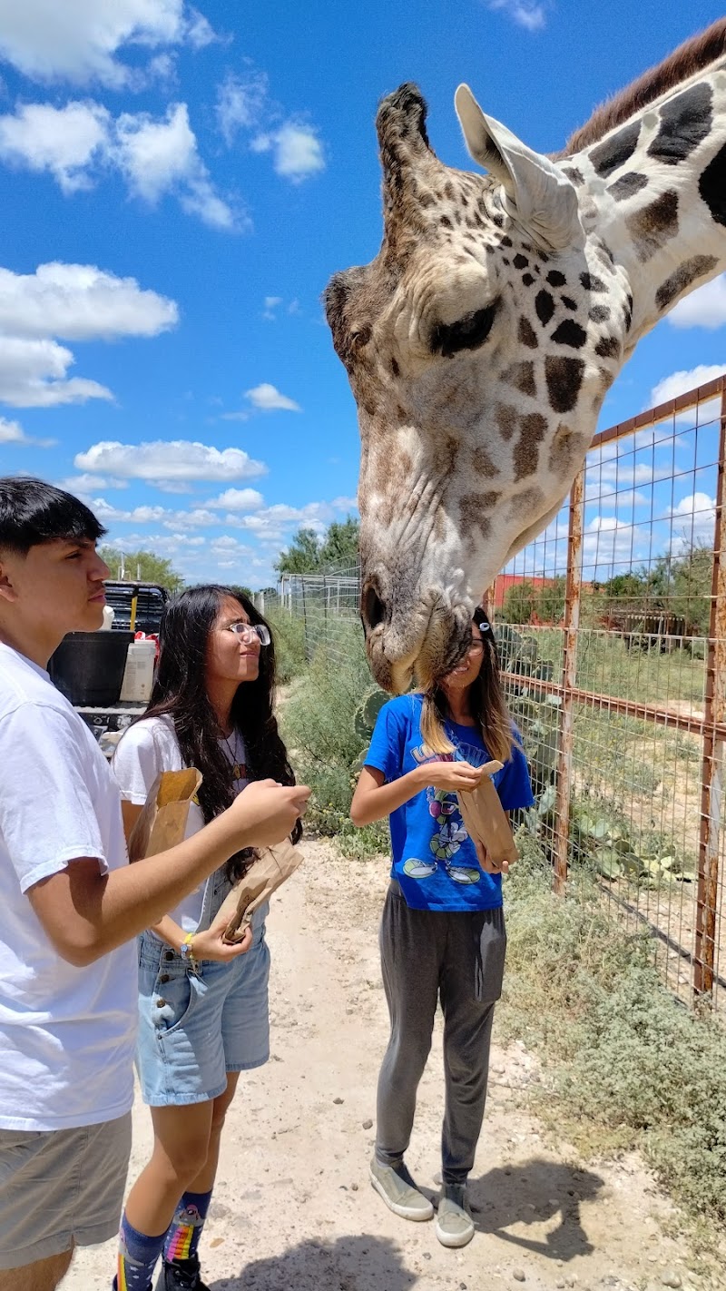 Laredo Safari and Adventure Park cover image