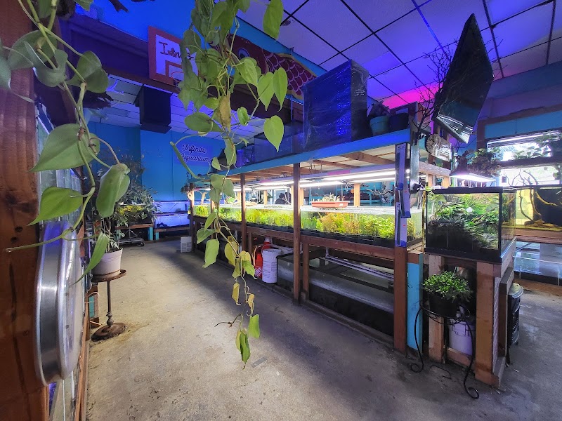 Infinite Aquarium cover image