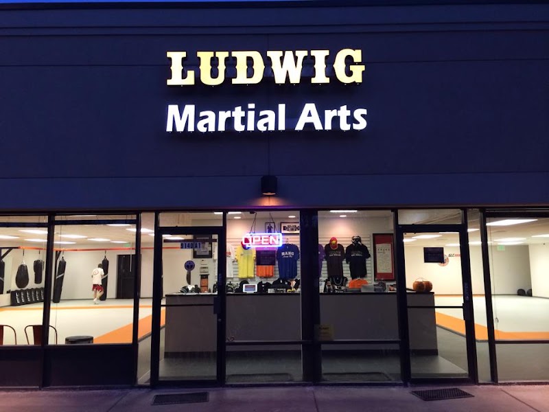 Ludwig Martial Arts / BANG Muay Thai cover image