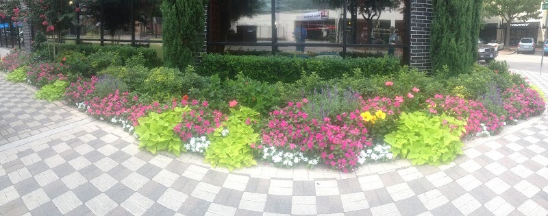 Ruibal's Plants of Texas cover image