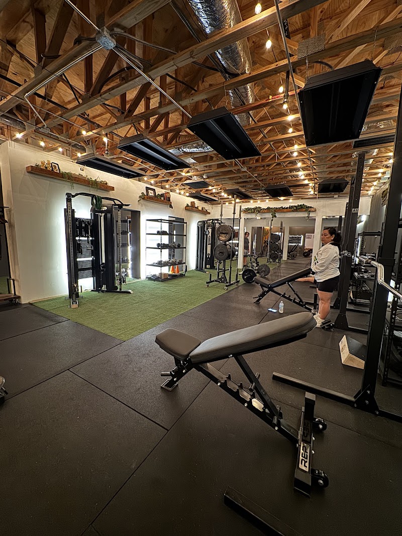 Total Body Training cover image