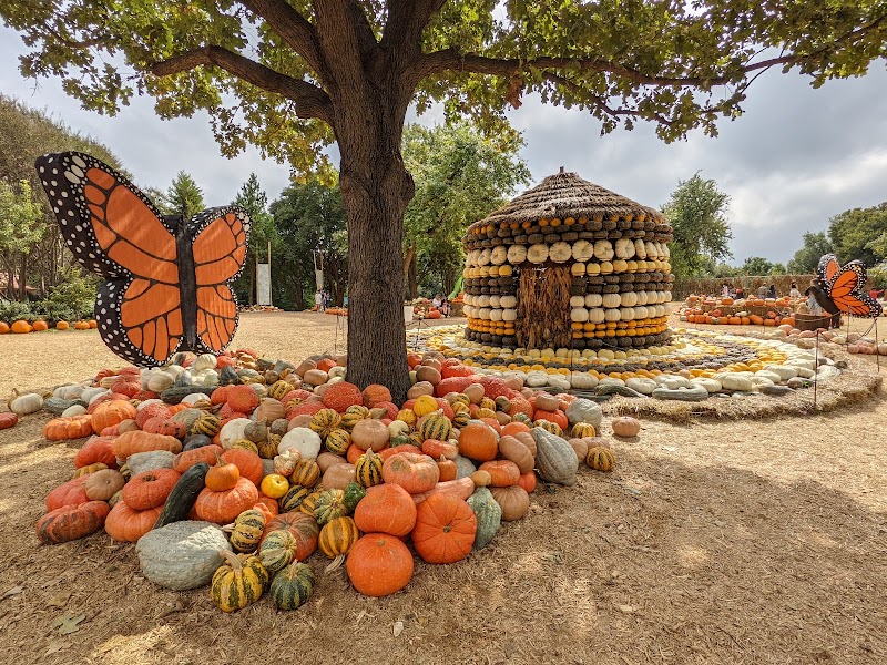 The Dallas Arboretum and Botanical Garden cover image