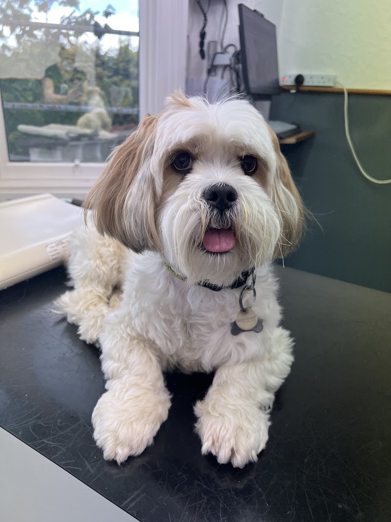 Cedar Grove Veterinary Clinic cover image