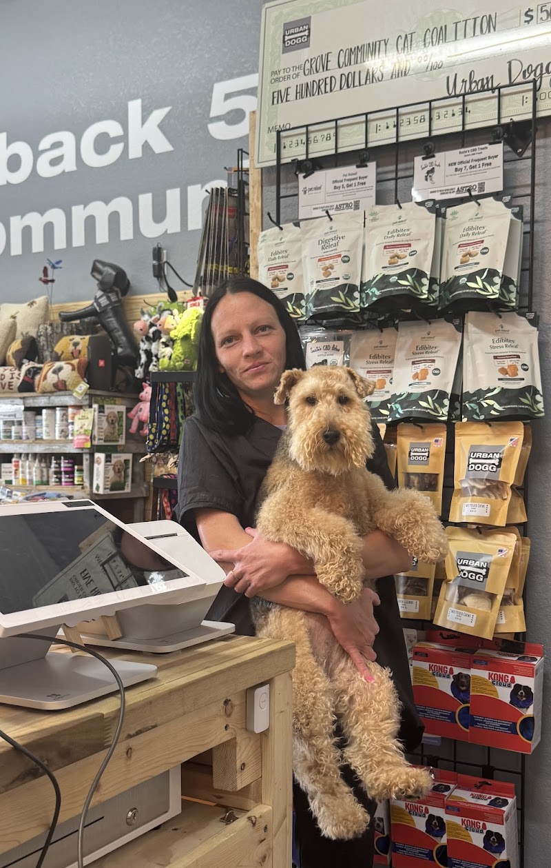 Urban Dogg Uptown cover image