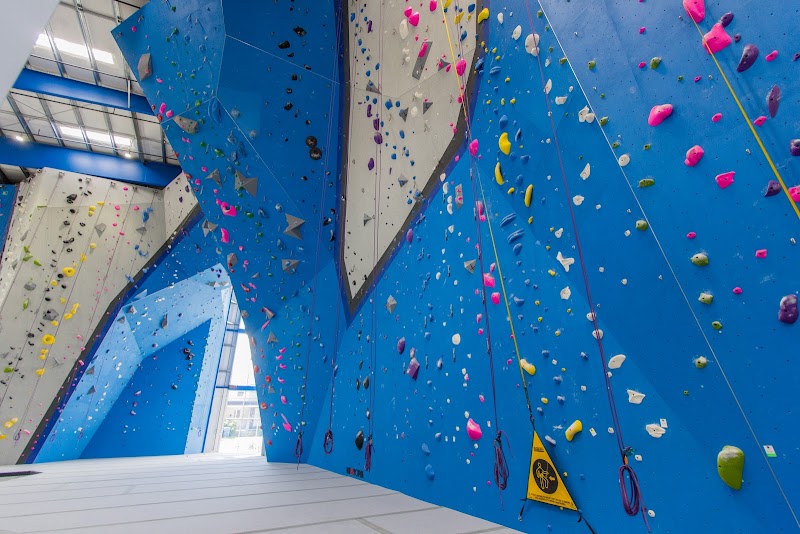 Reach Climbing & Fitness cover image