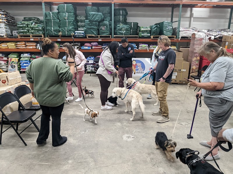 BFF Canine Obedience cover image