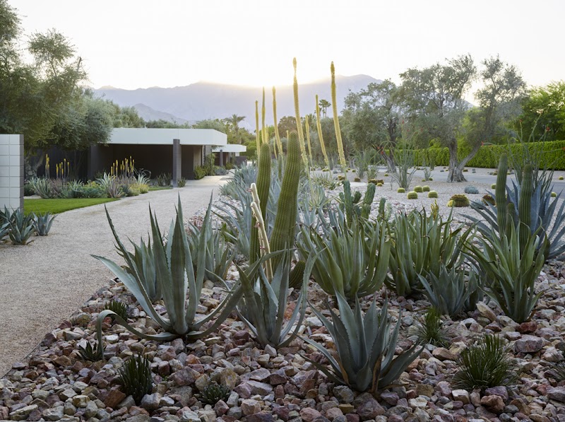 CMG Landscape Architecture cover image