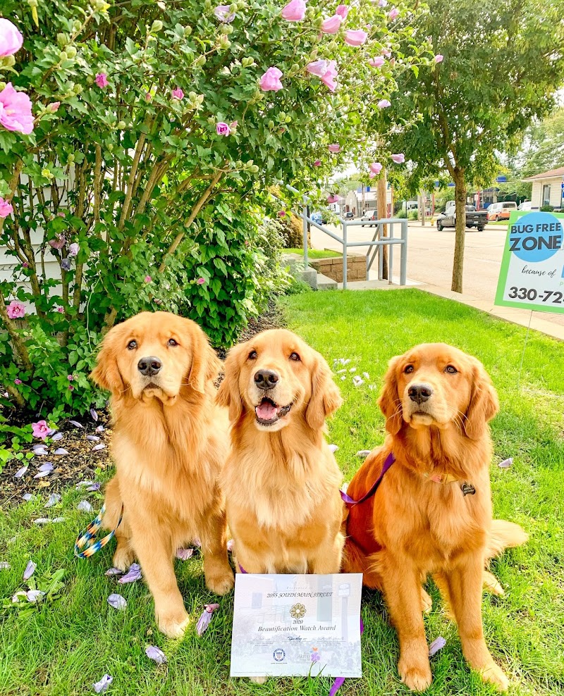 Epcon Lane cover image