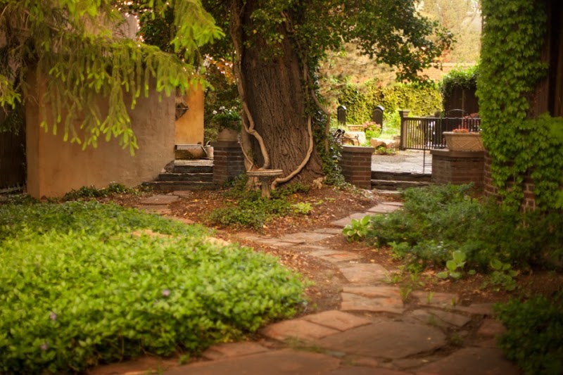 Busath Photography cover image