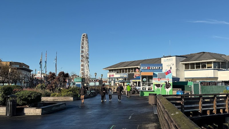 Blazing Saddles Bike Rentals and Tours cover image