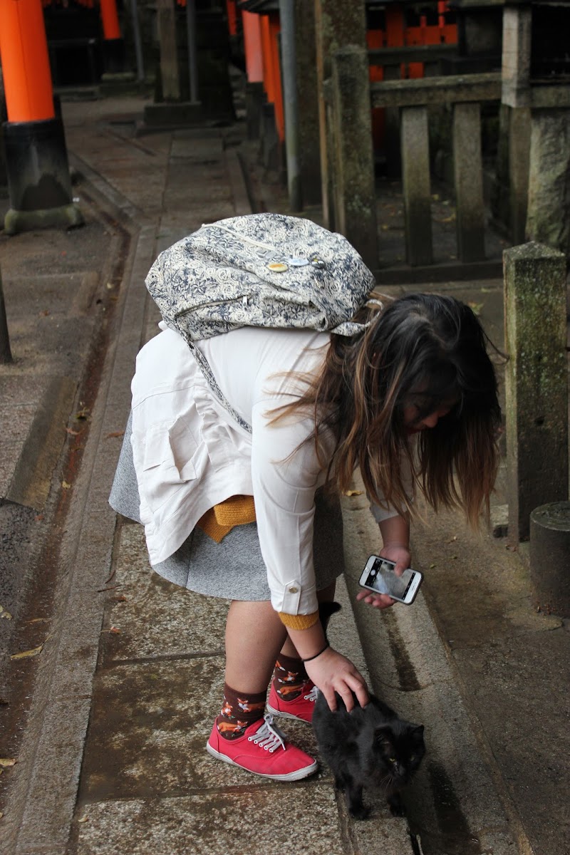 Biscuit Queen Cat Sitting cover image