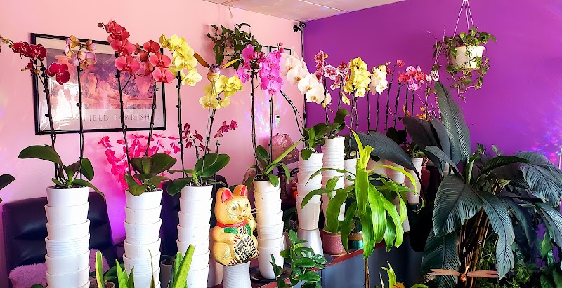 Sherry's Massage Therapy cover image