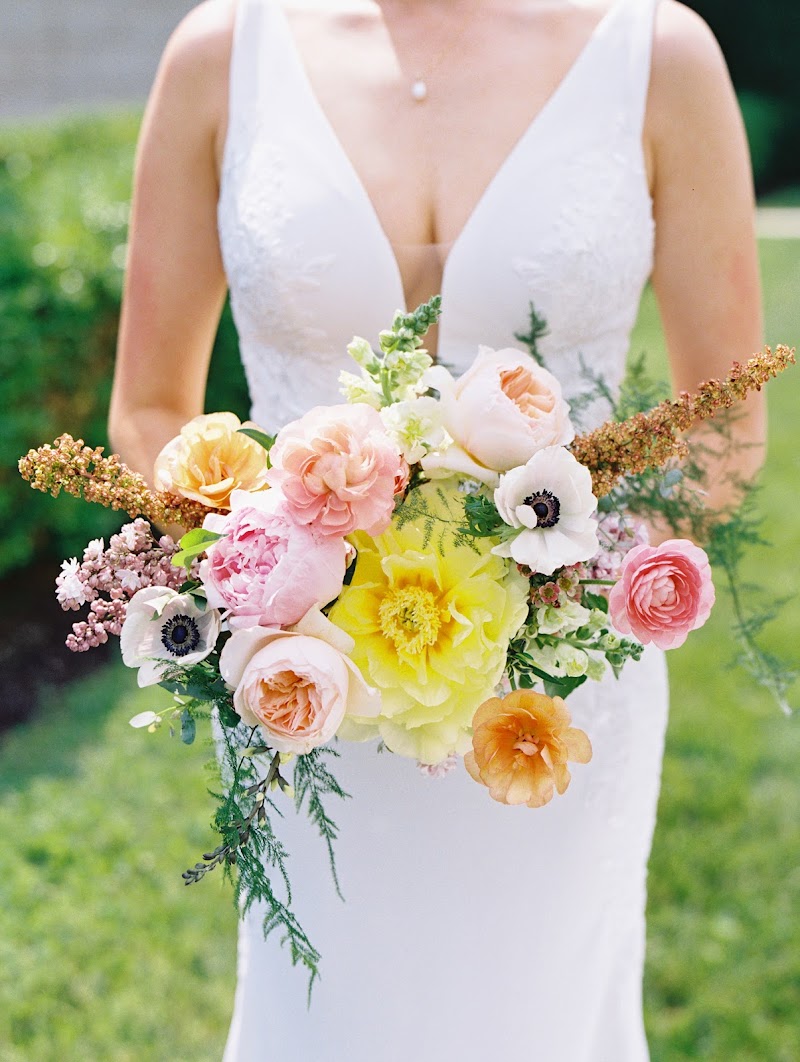 White Cat Weddings & Events cover image