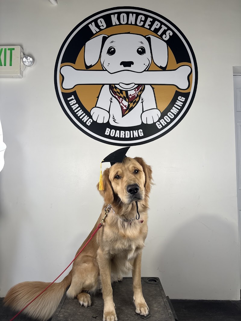 K-9 Koncepts Baltimore Dog Training cover