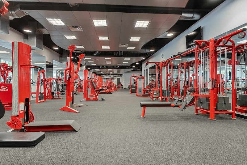 Vigor Active cover image