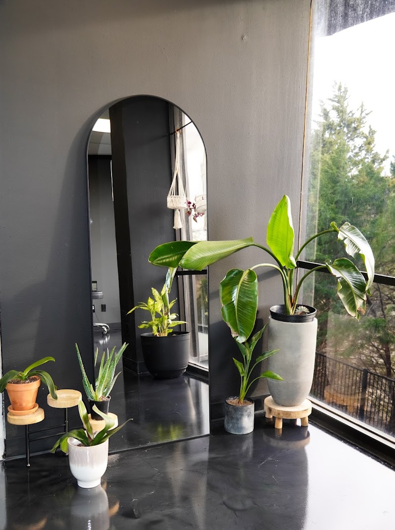 Modern Skin Lab - Dallas Acne Specialist | Microneedling | Hydrafacial | Corrective Treatments cover image