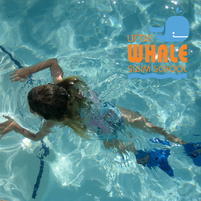 Little Whale Swim School Land Park cover image