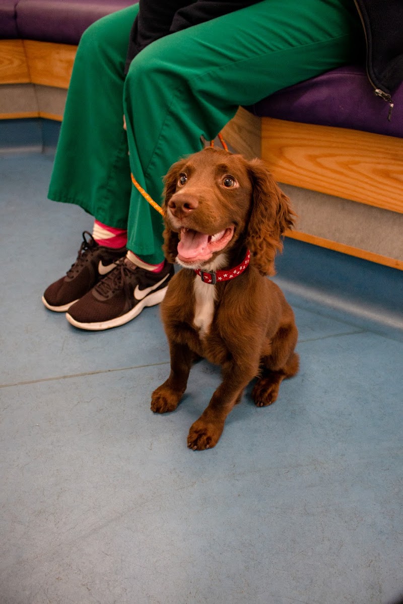 ScotVet Sandyhills cover image