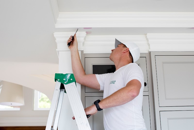 Hemlock Painting cover image