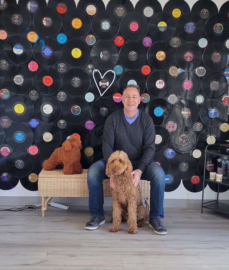 Sharkmatic Advertising cover image