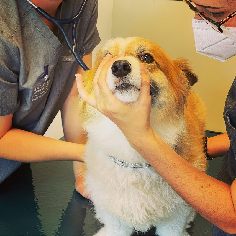 Back Bay Veterinary Clinic cover