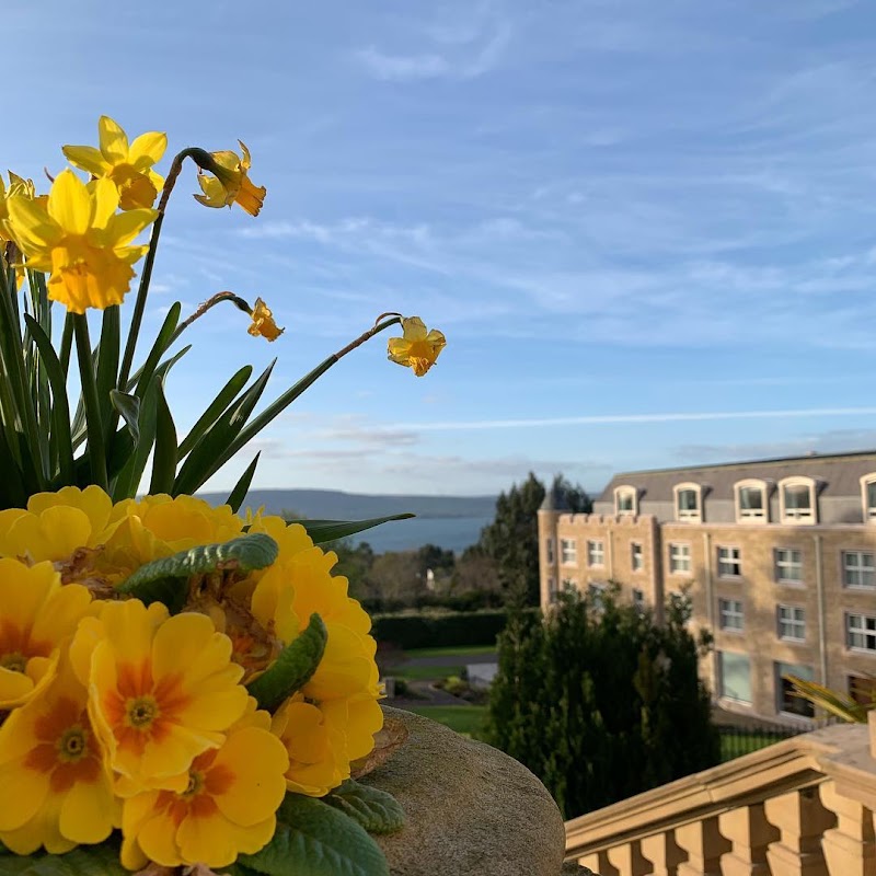 Immeasurable Minds cover image