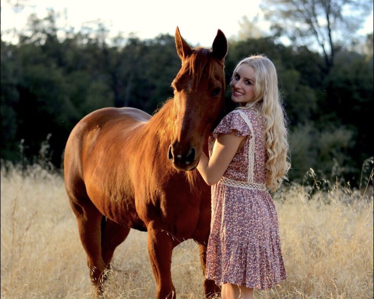 Dynamic Cinema Productions cover image