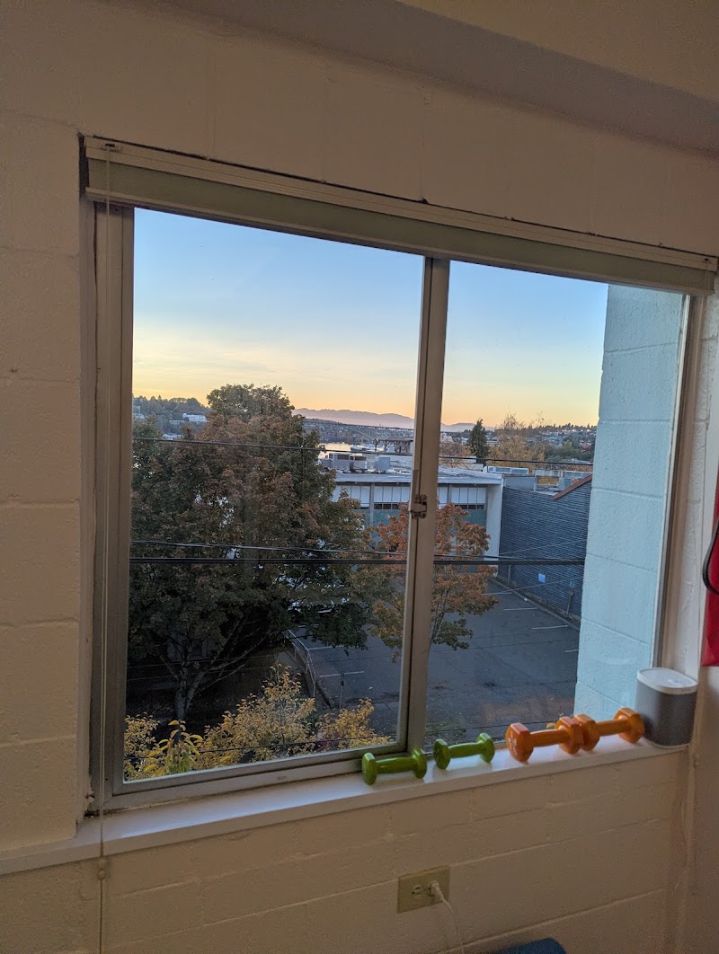 Active Seattle Chiropractic + Sports Therapy cover image