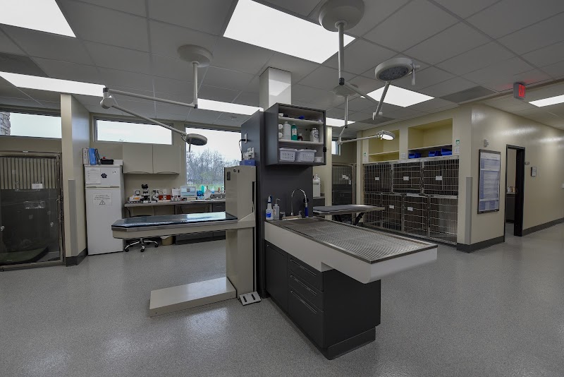 Madison Veterinary Specialists & Emergency Care cover image