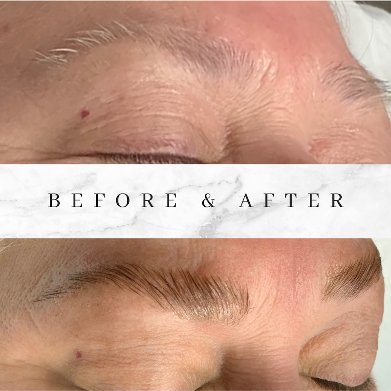 The Bald Kitty cover image