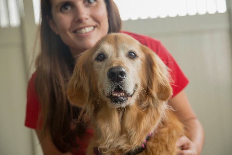 Camp Bow Wow Reno South cover image