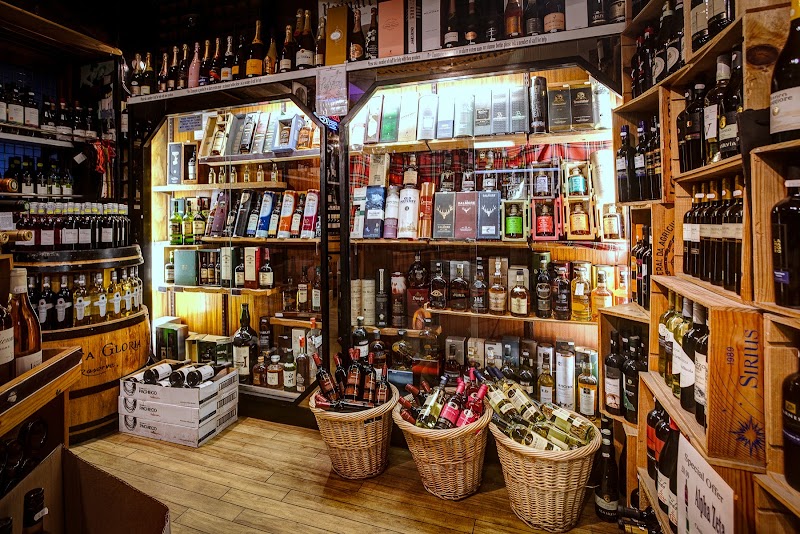 The Vineyard cover image