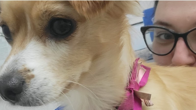 Emergency Mobile Chiropractor - Dr. Greg Malakoff cover image