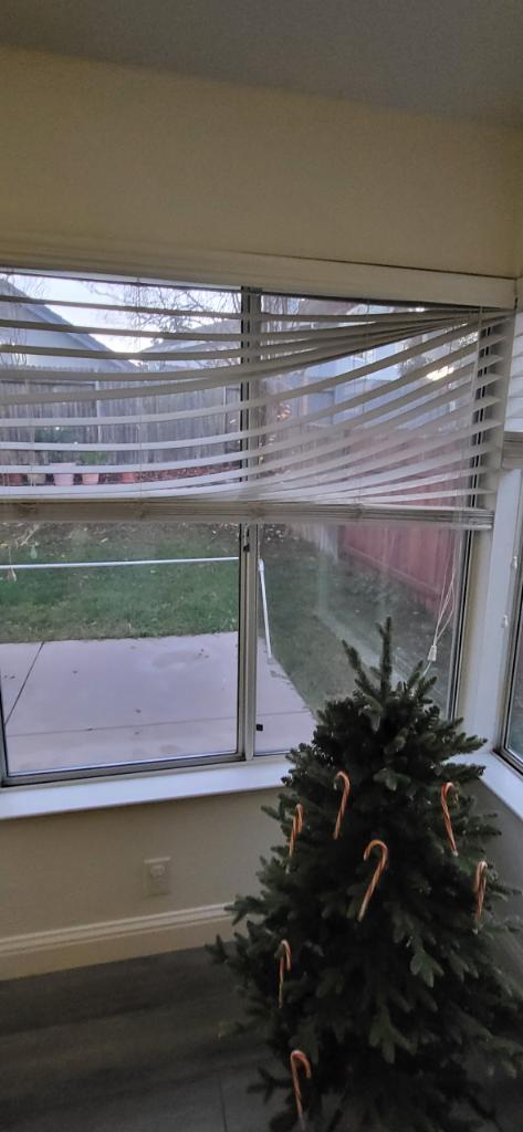 Official Pest Prevention cover image