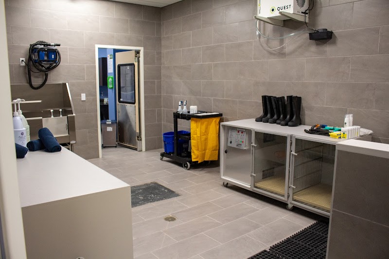 K9 Resorts Luxury Pet Hotel Houston-Heights cover image