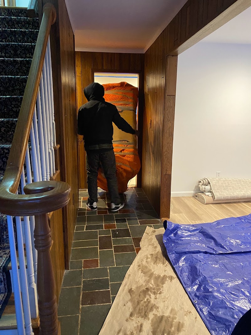 GoWagon Packing + Moving cover image