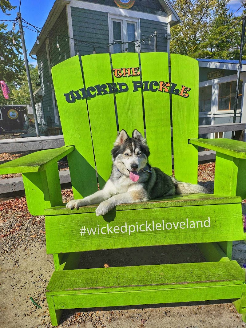 Off Leash K9 Training Cincinnati - Delhi cover image