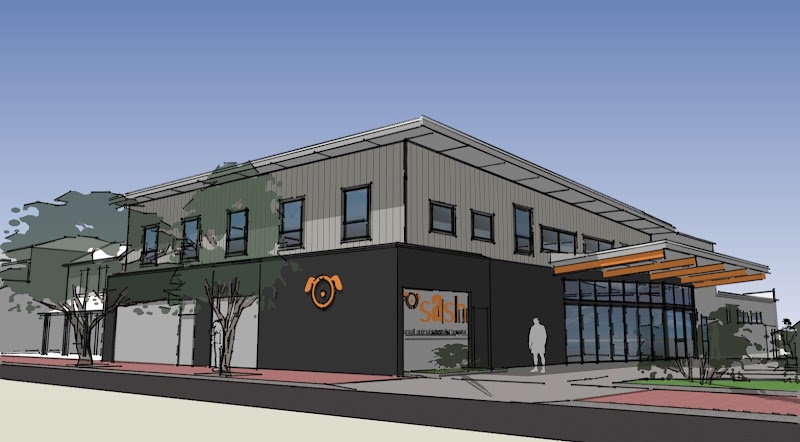 SASH Adelaide cover image