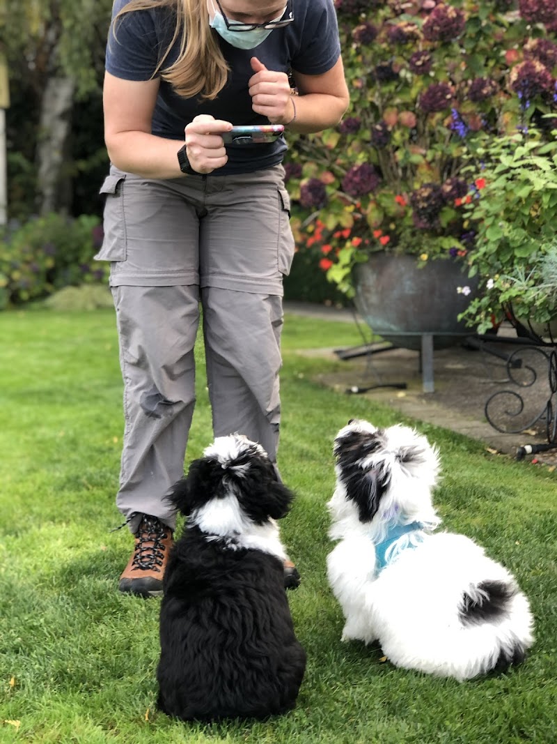 Trusty Dog Training Tulsa cover