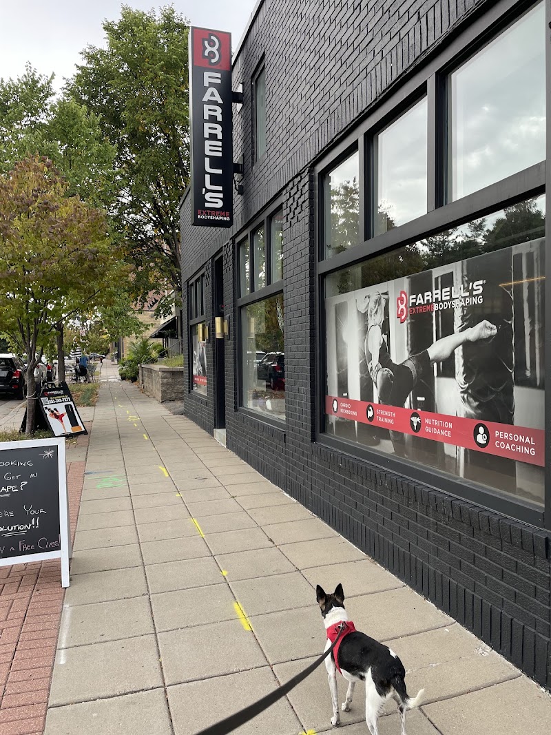 Farrell's Extreme Bodyshaping - St. Paul Gym cover image