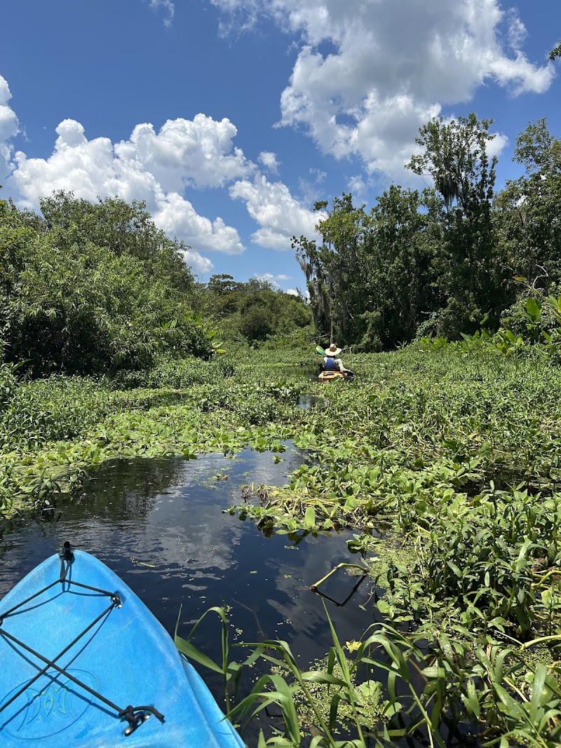 Adventures In Florida cover image