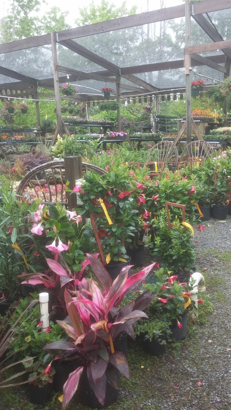 Mikes Growers Outlet cover image