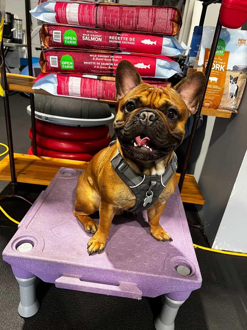 Living Better Dog Training cover