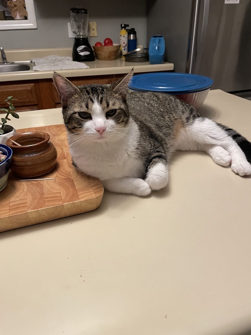 Walnut Grove Animal Clinic cover image