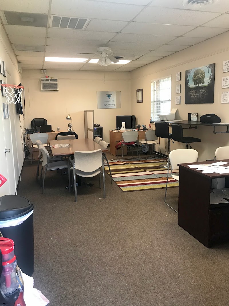 The Social Sharks cover image